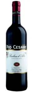 Pio Cesare Barbera
d'Alba 2022
V.nr. 4285801. Kr. 299,90