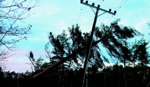 En telefonstolpe som har blitt truffet av et tre under storm